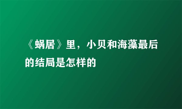 《蜗居》里，小贝和海藻最后的结局是怎样的
