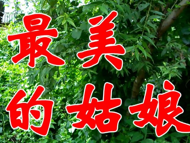 彝人制造最经典歌曲