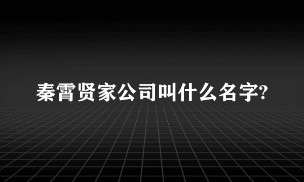 秦霄贤家公司叫什么名字?