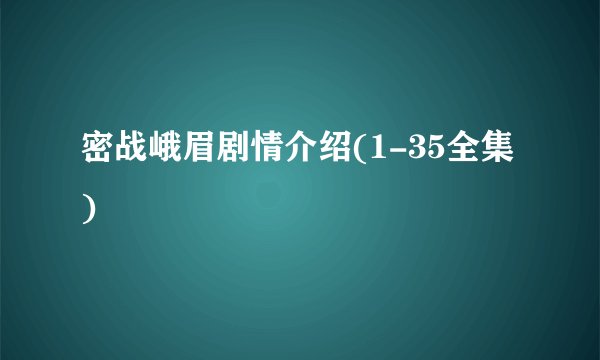 密战峨眉剧情介绍(1-35全集)