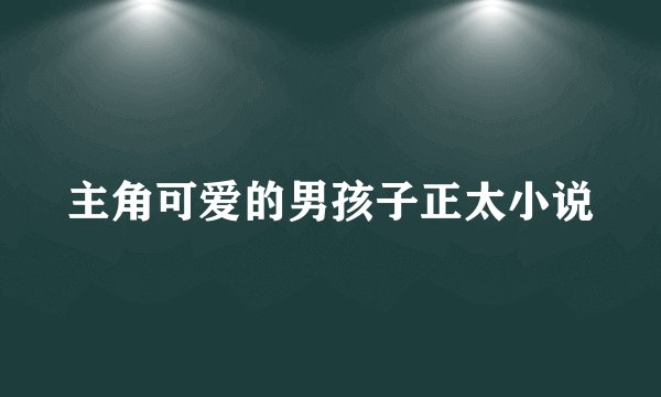主角可爱的男孩子正太小说