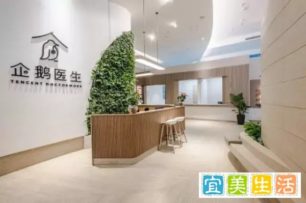 医院巨震！“共享医院”来了，企鹅医院也来了！