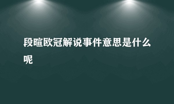 段暄欧冠解说事件意思是什么呢