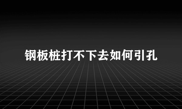钢板桩打不下去如何引孔