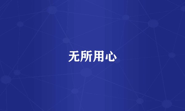 无所用心