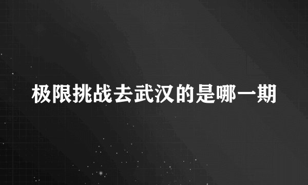 极限挑战去武汉的是哪一期