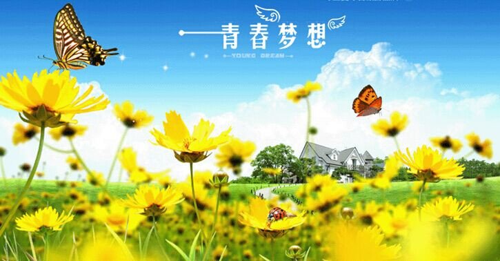 青春如期2青春梦想的介绍