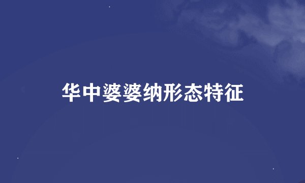 华中婆婆纳形态特征