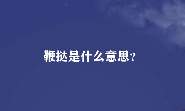 鞭挞是什么意思？