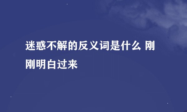 迷惑不解的反义词是什么 刚刚明白过来