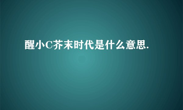 醒小C芥末时代是什么意思.