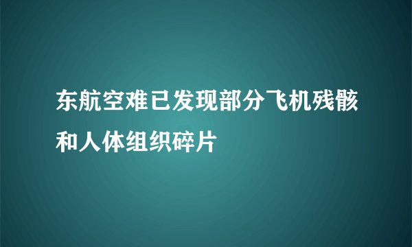 东航空难已发现部分飞机残骸和人体组织碎片