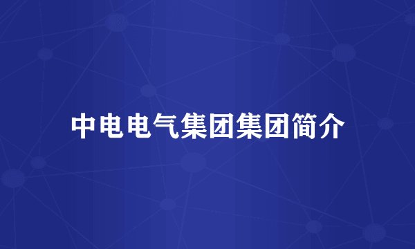 中电电气集团集团简介