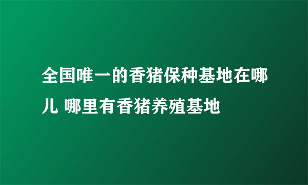 全国唯一的香猪保种基地在哪儿 哪里有香猪养殖基地