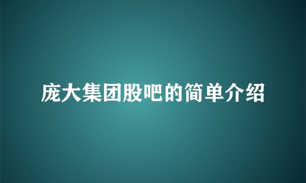 庞大集团股吧的简单介绍