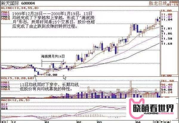 很少有散户知道的这招“135战法”,它可以帮你捕捉强势黑马股