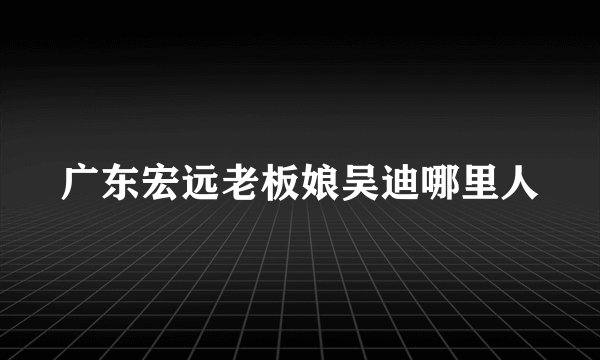 广东宏远老板娘吴迪哪里人