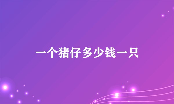 一个猪仔多少钱一只