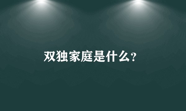 双独家庭是什么？