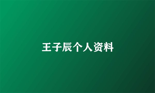 王子辰个人资料