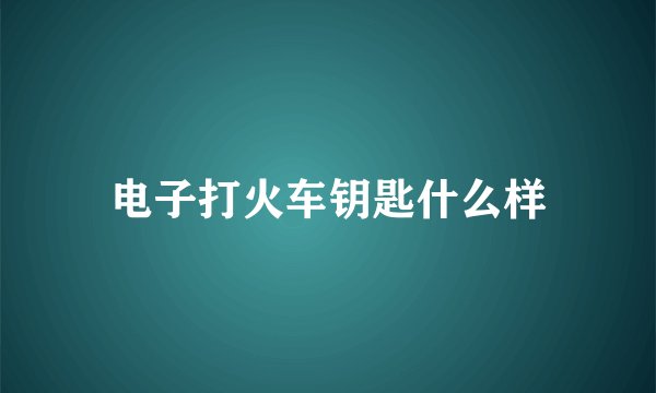 电子打火车钥匙什么样