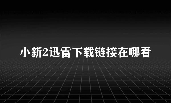 小新2迅雷下载链接在哪看