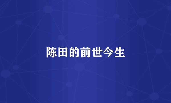 陈田的前世今生