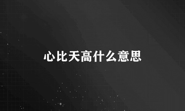 心比天高什么意思