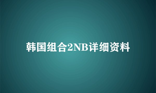 韩国组合2NB详细资料