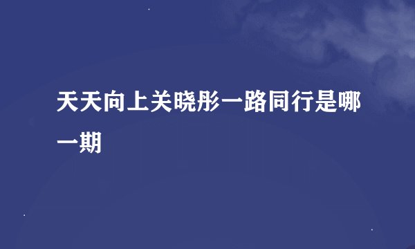 天天向上关晓彤一路同行是哪一期