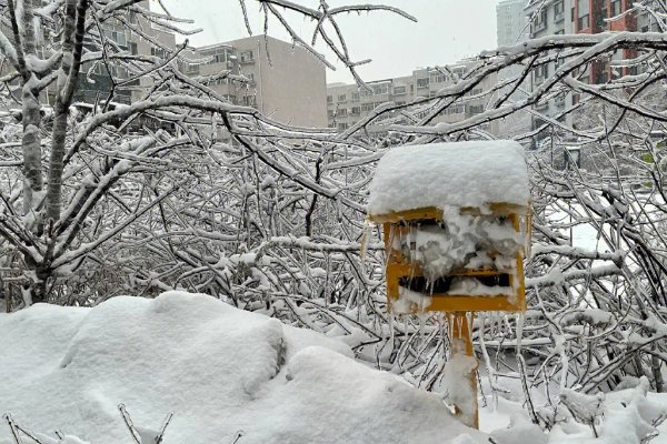 大雪纷飞怎么造句