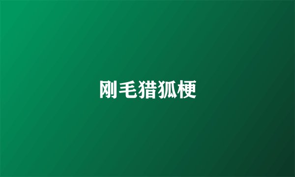 刚毛猎狐梗