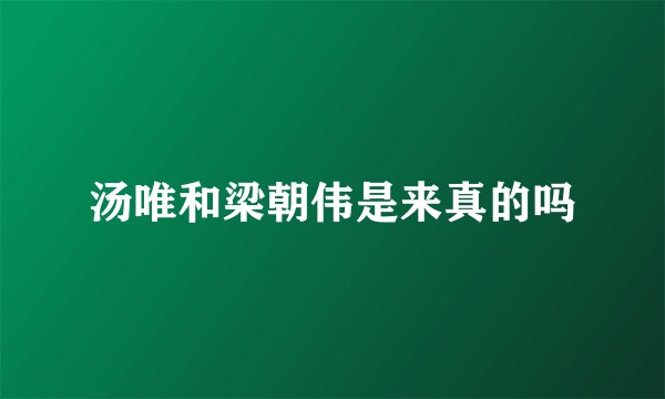 汤唯和梁朝伟是来真的吗