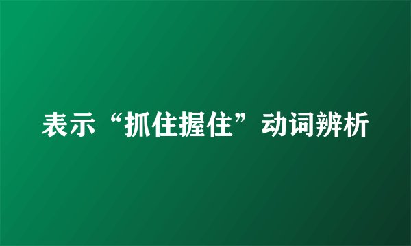 表示“抓住握住”动词辨析
