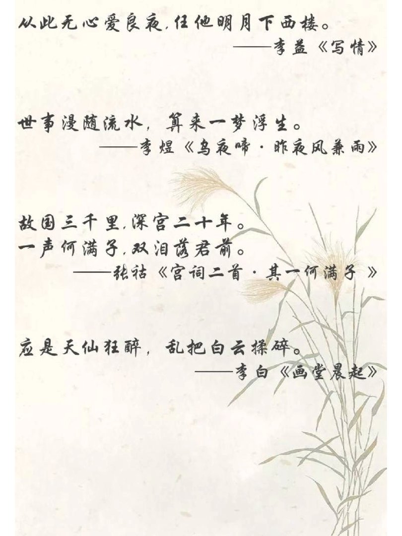 人间绝句:沉醉其中