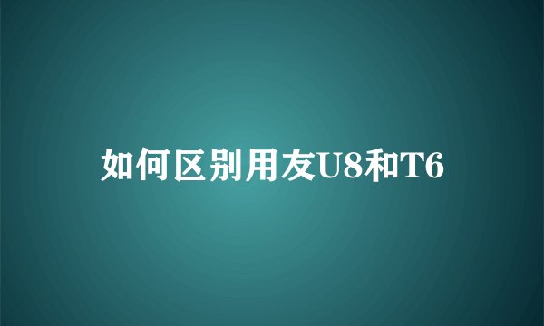 如何区别用友U8和T6