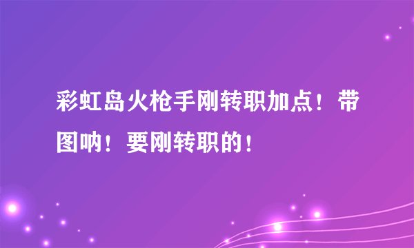 彩虹岛火枪手刚转职加点！带图呐！要刚转职的！