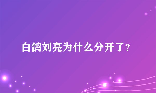 白鸽刘亮为什么分开了?