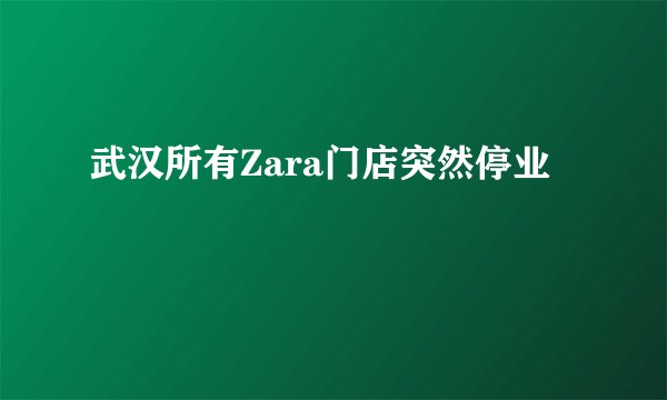 武汉所有Zara门店突然停业