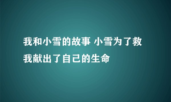 我和小雪的故事 小雪为了救我献出了自己的生命