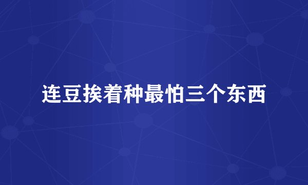 连豆挨着种最怕三个东西