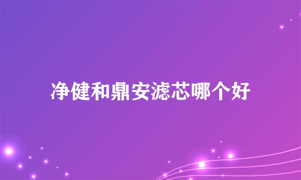 净健和鼎安滤芯哪个好