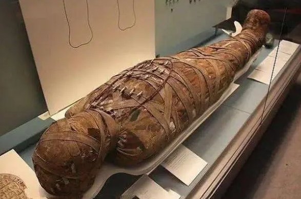 木乃伊咋形成的