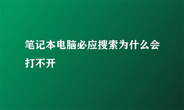 笔记本电脑必应搜索为什么会打不开