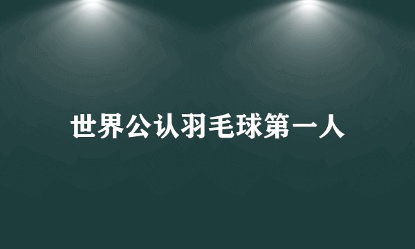 世界公认羽毛球第一人
