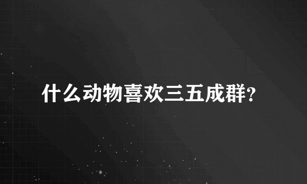 什么动物喜欢三五成群？