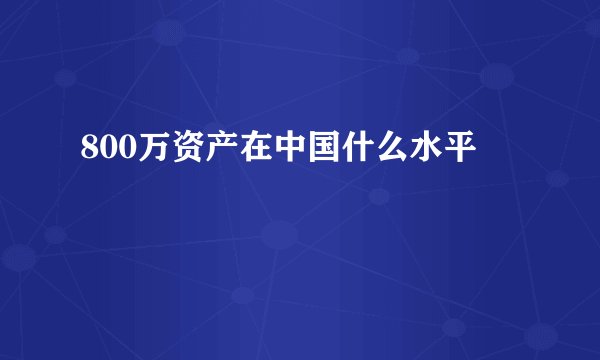 800万资产在中国什么水平