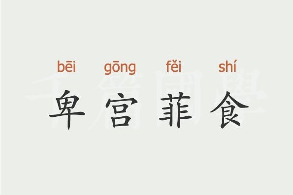 卑宫菲食什么意思