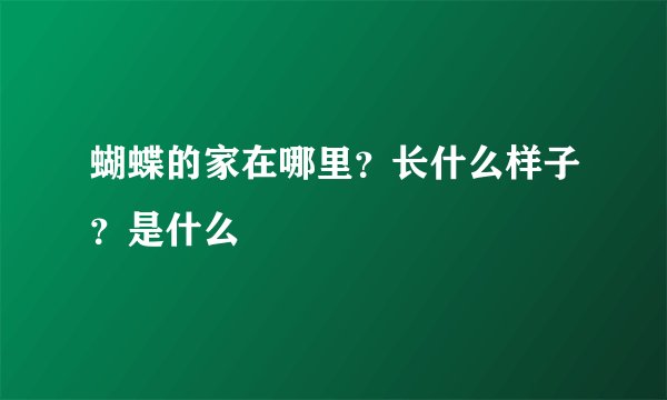 蝴蝶的家在哪里？长什么样子？是什么