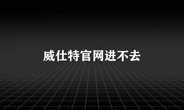 威仕特官网进不去
